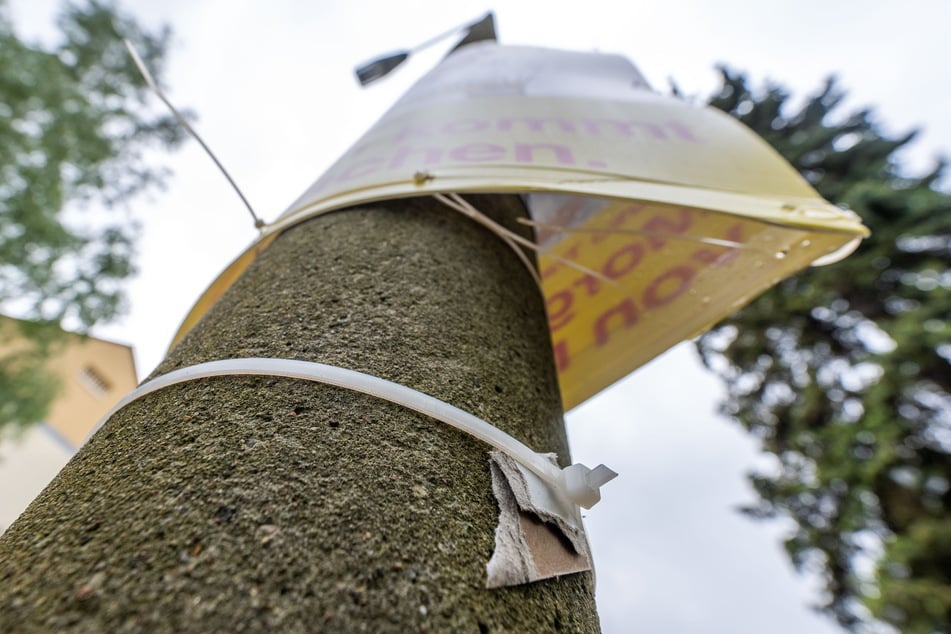 Bild der Verwüstung in Zwickau: 76 Wahlplakate in einer Straße heruntergerissen!