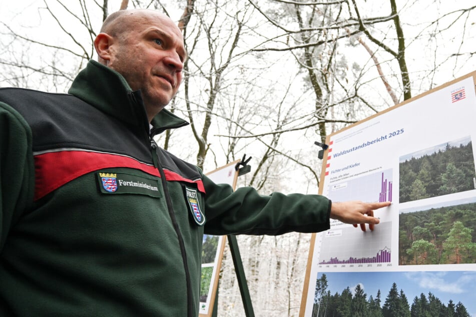 Hessens Forstminister Ingmar Jung (47, CDU) stellte den aktuellen Waldzustandsbericht im Staatswald des Forstamtes Königstein vor.