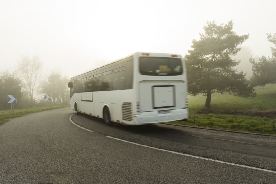 Der Busfahrer ließ die Frau einfach irgendwo im Wald raus. (Symbolbild)