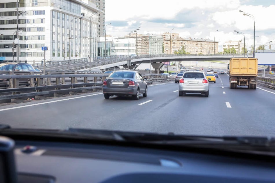 Hund läuft auf Autobahn, dann kommt eine Bestatterin! TAG24