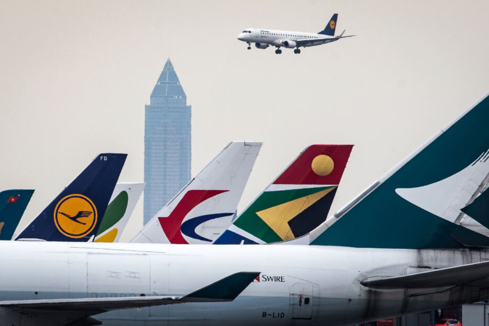 Der Flughafen Frankfurt (Archivbild) ist eine wichtige Drehscheibe für die internationale Luftfahrt.