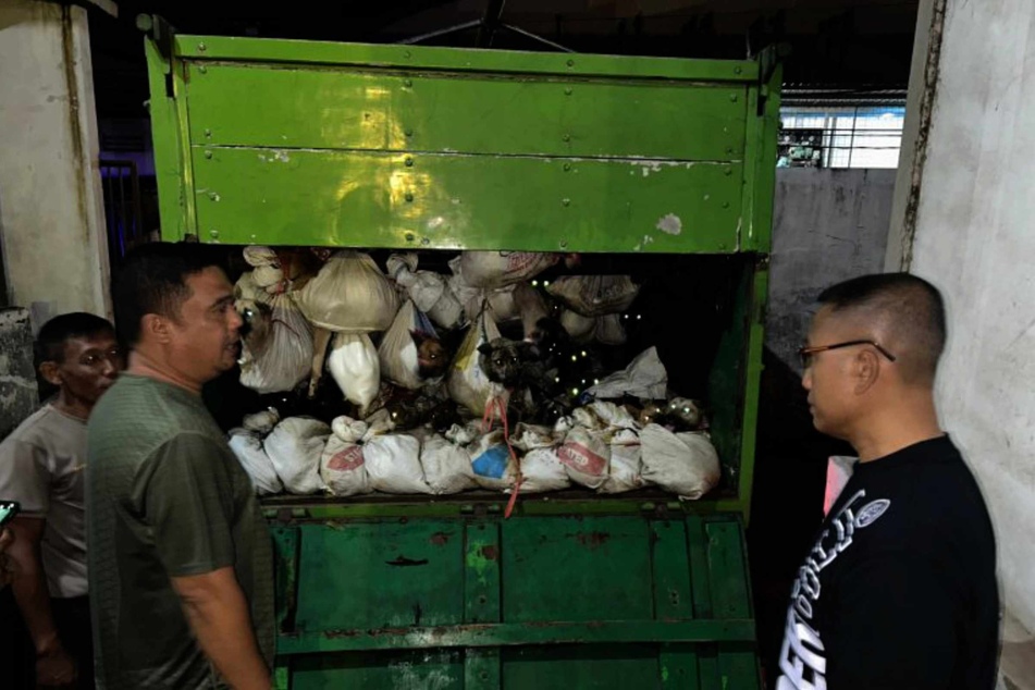Die indonesische Polizei rettete 226 Hunde, die vermutlich geschlachtet und dann verzehrt werden sollten.