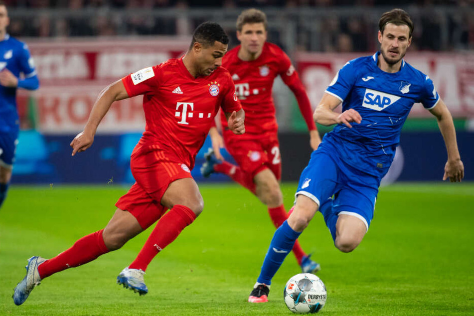 Serge Gnabry durfte von Beginn an ran. Hier im Zweikampf mit Havard Nordtveit von Hoffenheim.