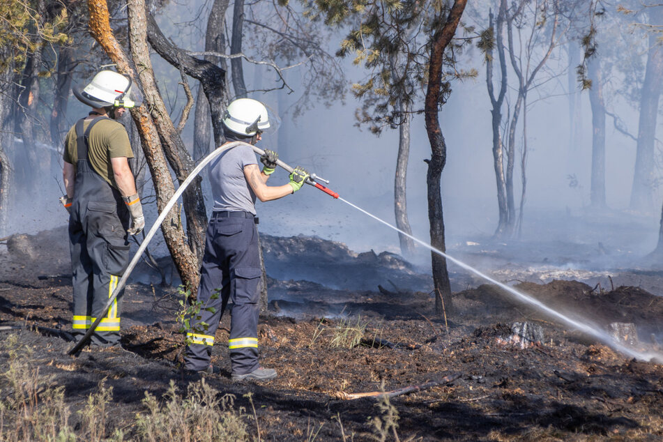 Trockenheit, Schädlingsbefall: Mit den Bränden in der Gohrischheide und der Sächsischen Schweiz war die Waldbrandbelastung 2022 höher als in den Vorjahren.