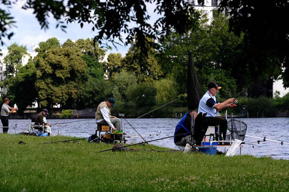 Angeln in Berlin ist eine feine Sache, wie hier im Treptower Park am Ufer an der Spree.
