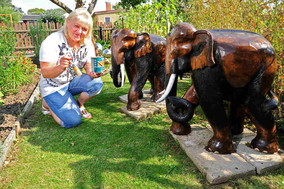 Regina Scholz (61) freut sich über die Rückkehr ihrer Elefanten.