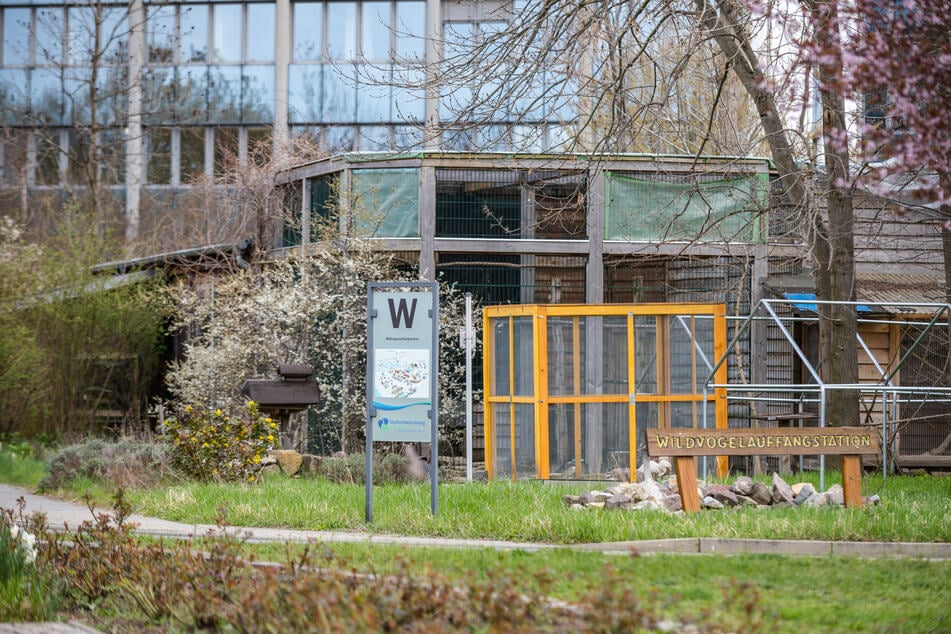 Die Wildvogelauffangstation befindet sich auf dem Gelände der Stadtentwässerung in Kaditz.