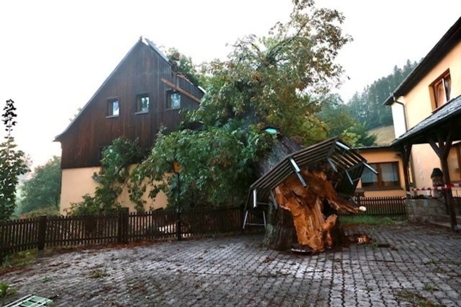 Beim Hotel &amp; Gaststätte Sonnenhof Sächsische Schweiz stürzte ein Baum auf das Gebäude.