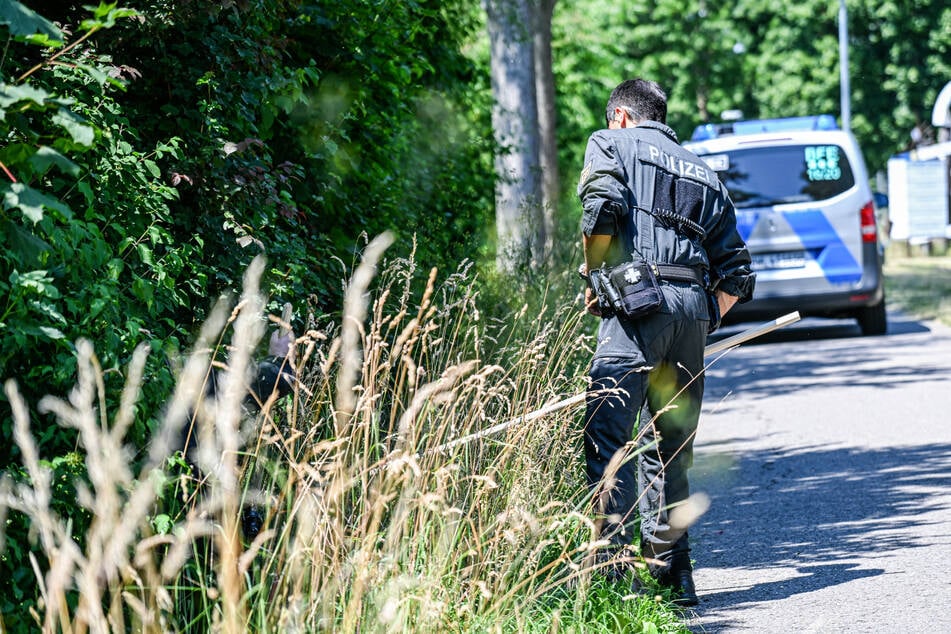 Auf der Suche nach dem vermissten Baby durchkämmt ein Polizist ein Gebüsch.
