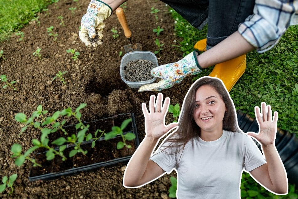 Diese 10 Fehler sollte man bei der Gartenarbeit vermeiden
