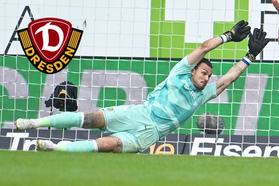 Schreiber nimmt Dynamo-Pleite auf seine Kappe: "Ohne meine Fehler ..."