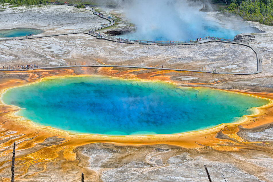 Auf langen Holzstegen kann man um die einzelnen Pools im Yellowstone-Nationalpark herumlaufen. Doch die Gefahr lauert.