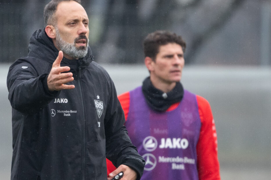 Pellegrino Matarazzo (links) war mit der Vorbereitung in der Winterpause sehr zufrieden.