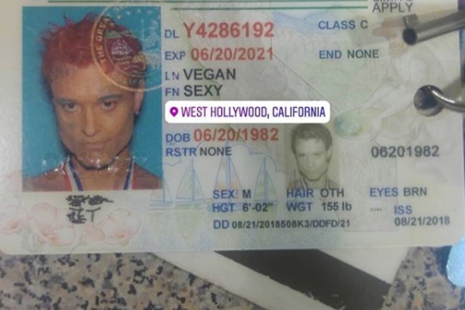 Der Führerschein von Sexy Vegan.