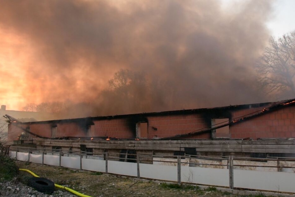 Der Sachschaden des Brandes wird auf circa 500.000 Euro geschätzt.