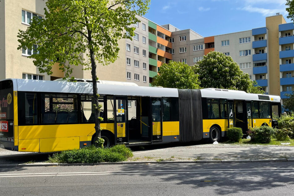 Der Bus kam auf erst auf einer Grünanlage vor einem Wohnhaus zum Stehen.