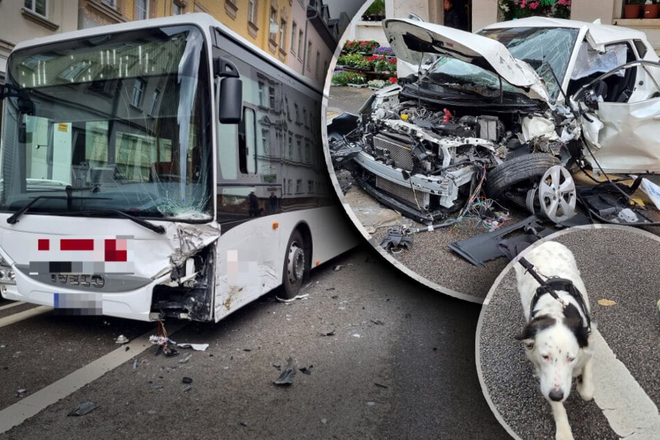 Heftiger Bus-Crash in Chemnitz: Hund aus Trümmer-Auto gerettet