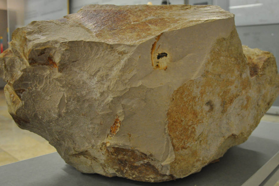 Der etwa einen Meter große Kalksteinblock mit Strahlenkegeln im Meteorkrater-Museum in Sontheim mit Resten des Steinheim-Meteoriten (dunkles Material oberhalb der Bildmitte), kurz nach dem Fund des Meteoriten.