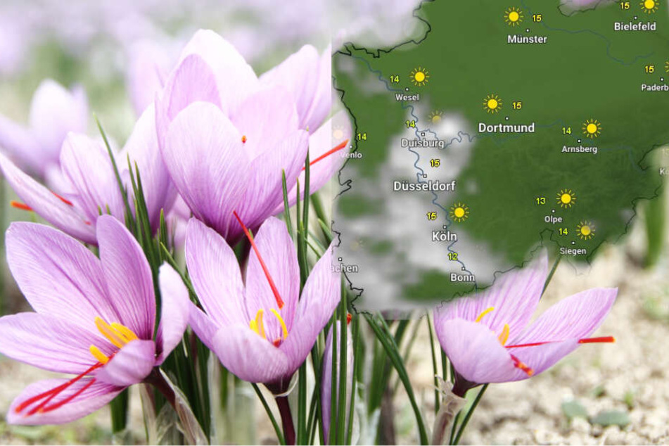 Das Wetter wird bis Ostern immer freundlicher. (Symbolbild)