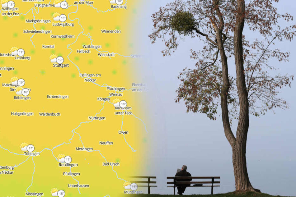 Mild aber grau wird es am Wochenende. (Fotomontage/Symbolbild)