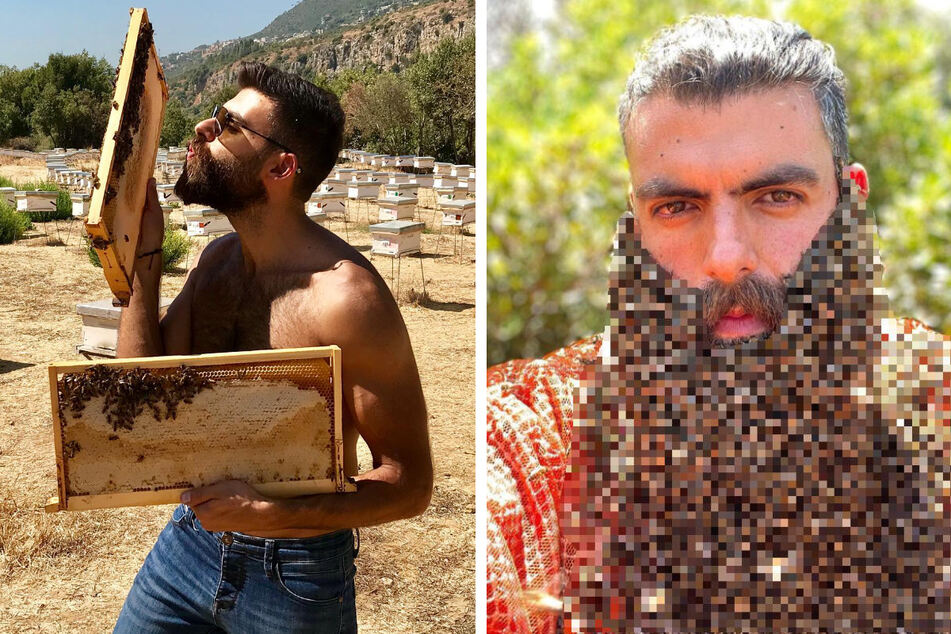 TikToker buzzes with a beard full of bees in extreme videos