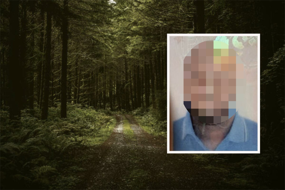 27-Jähriger verschwindet im Wald: Vermisster in Sachsen-Anhalt gefunden