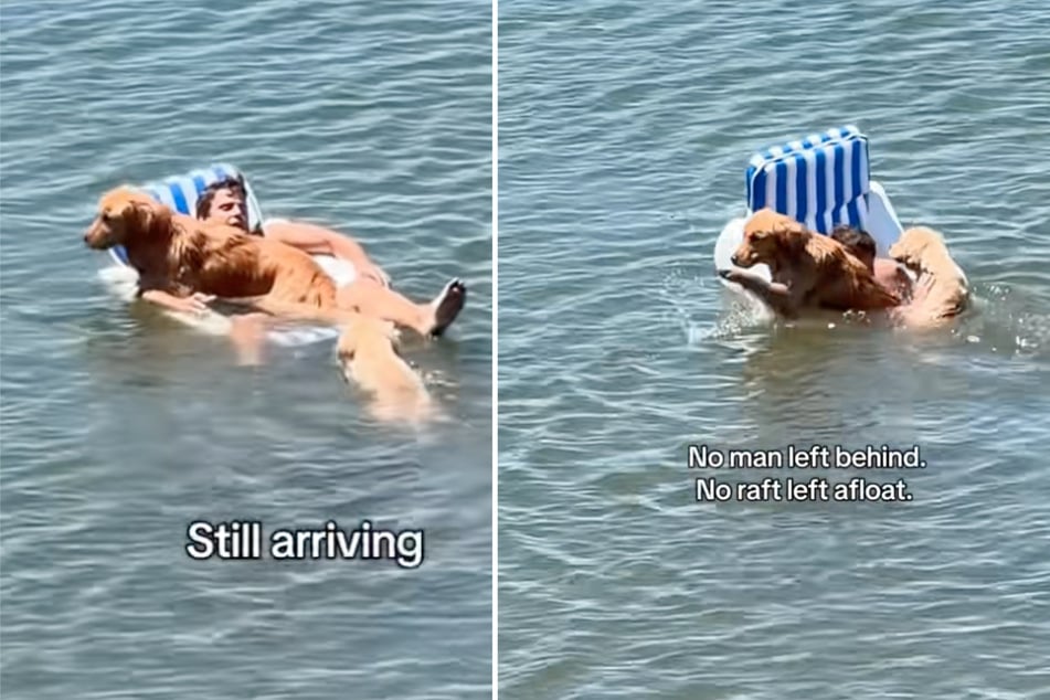 Platz für drei gibt es nicht: Das Trio fällt gemeinsam ins Wasser.