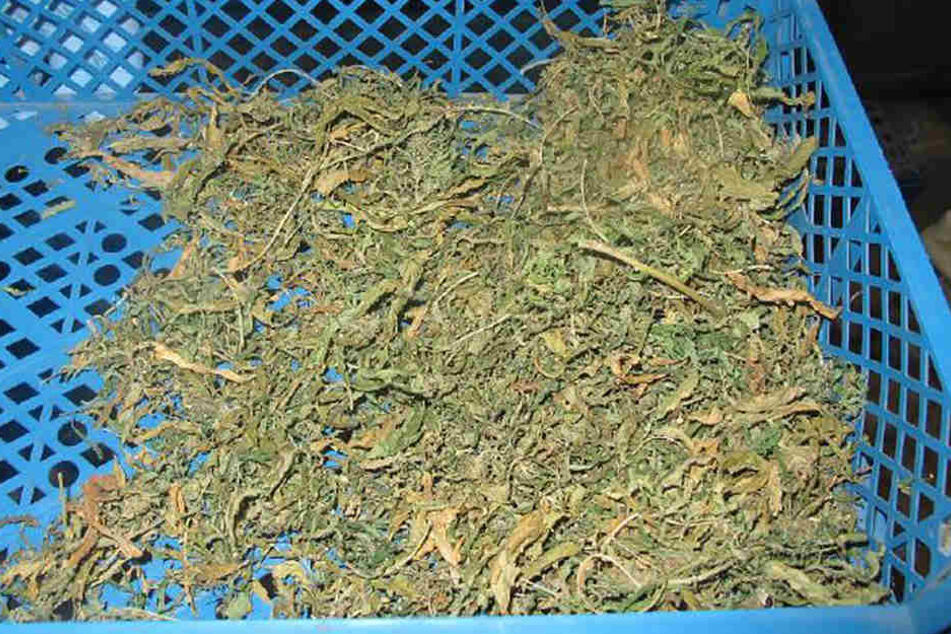 Insgesamt wurden mehr als zwei Kilo Marihuana gefunden.