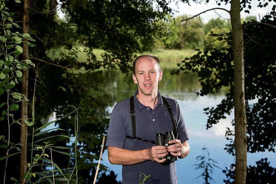 Winfried Nachtigall (46) ist Vogel-Experte beim Naturschutzbund (NABU).