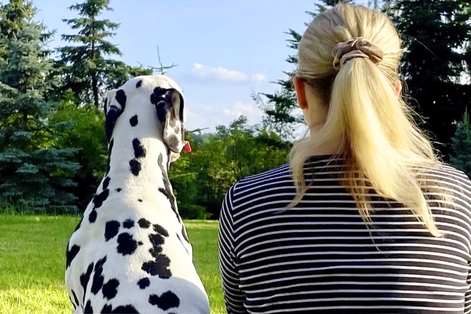 Wer gibt Euren Vierbeinern eigentlich eine Stimme in der Politik?