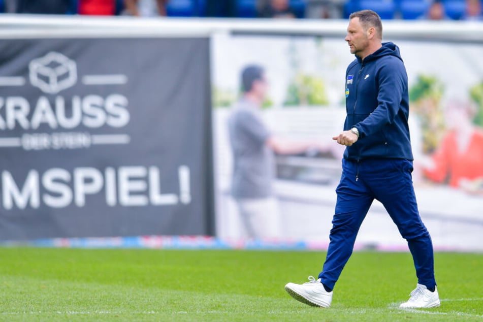 Muss Pal Dardai (43) gehen?