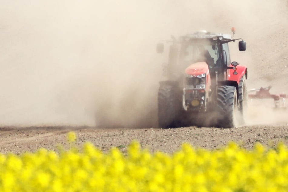 Ein Landwirt hat in Hammoor eine Leiche entdeckt. (Symbolfoto)