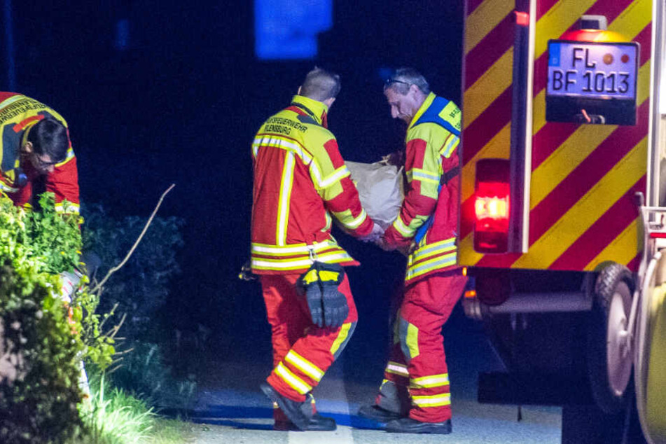 Feuerwehrleute bergen den 46 Kilogramm schweren Feldstein (Archivbild).