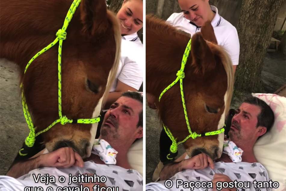 João gets a visit from horse Paçoca and Coletivo Inclusão.