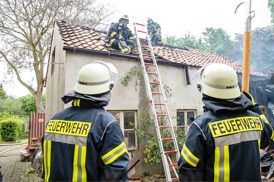 Nachbarn hatten die Hausbesitzer alarmiert.