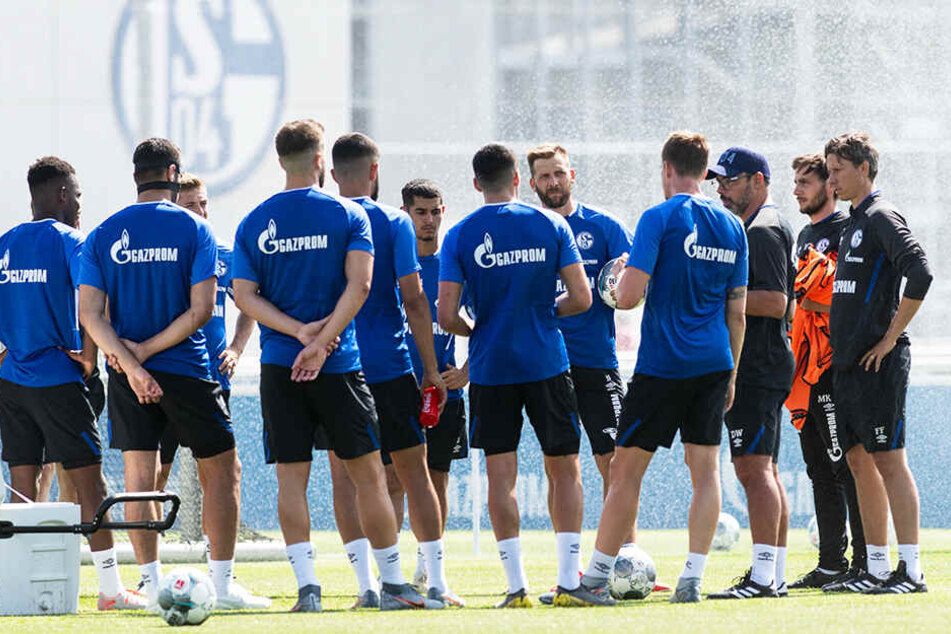 Kommt Schalke in Fahrt, ist die Qualifikation für den europäischen Wettbewerb im Bereich des Möglichen.