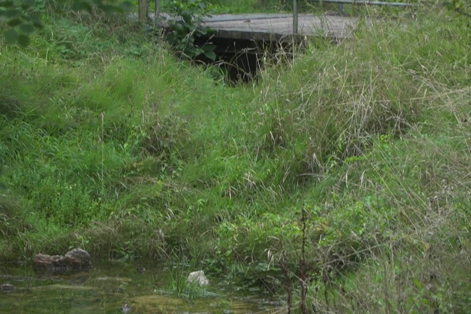 Die Leiche im Koffer wurde in einem Wohngebiet unter einer Brücke gefunden.
