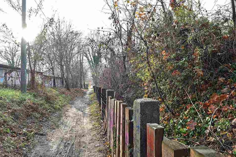 Der Weg zum Industriegelände ist bislang nur ein Trampelpfad.