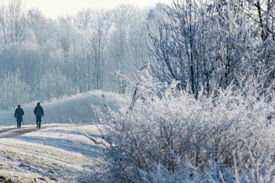 Spaziergänger gehen auf einem Weg zwischen mit Raureif überzogenen Bäumen in Kirchroth vorbei.