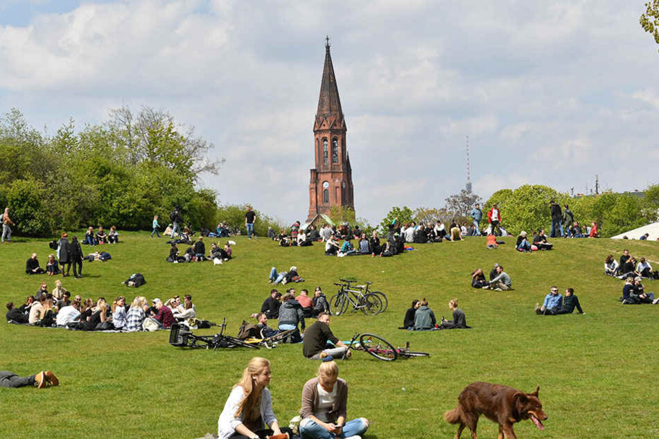 Auch wenn die Zahl der Delikte im "Görli" rückläufig sind, so treiben sich noch immer Drogendealer im Schatten der Idylle herum.