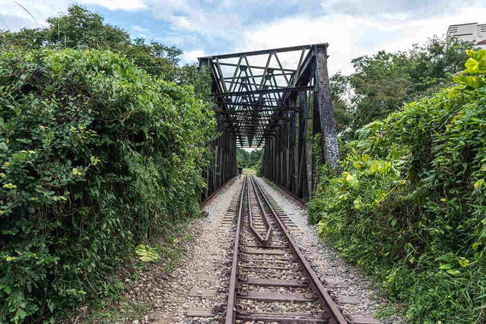 Ungepflegter Bewuchs entlang der Bahngleise wurde Roper möglicherweise zum Verhängnis. (Symbolbild)
