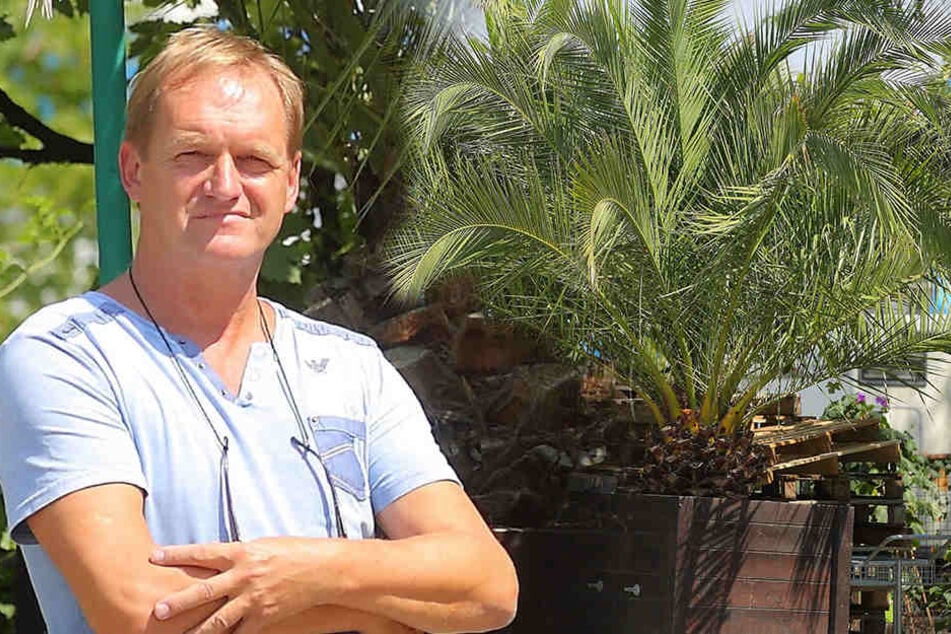 Pflanzenfreund Olaf Winkler (57) hat kein Verständnis dafür, dass die transportfertigen Palmen monatelang nicht abholt werden.