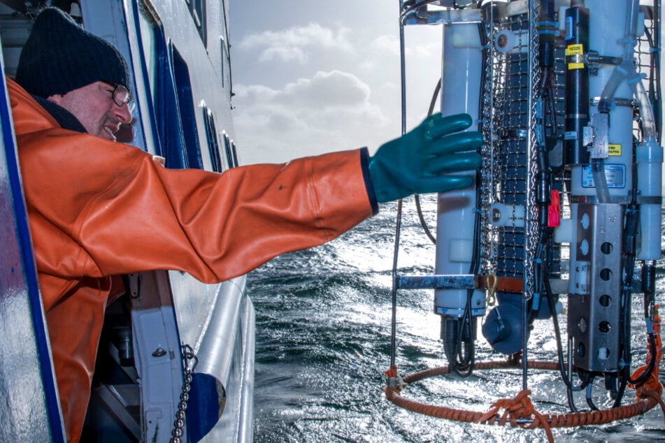 Hering rund um LNG-Standort in Gefahr: Forscher nehmen Ostsee unter die Lupe