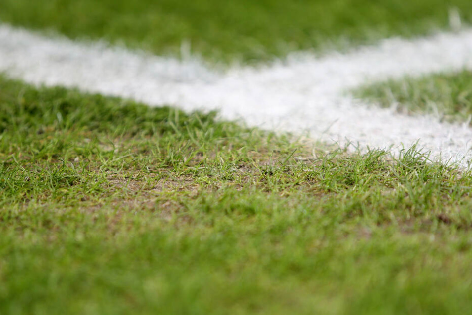 Der heilige Rasen im Olympiastadion wies in letzter Zeit herbe Mängel und Löcher auf.
