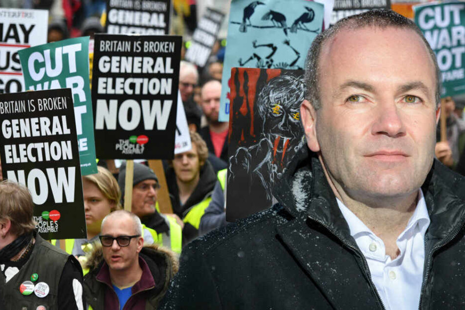 Manfred Weber hat vor einem Erstarken der AfD gewarnt. (Bildmontage)