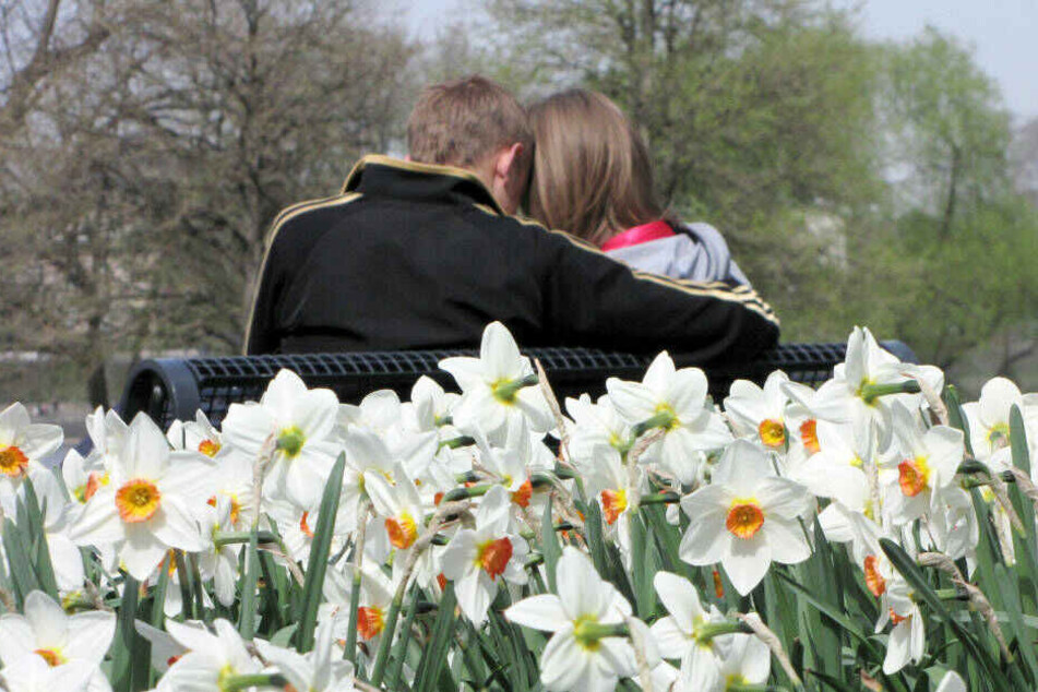 Auch der Rheinpark in Köln lädt am Oster-Wochenende zum Spaziergehen und Verweilen ein.