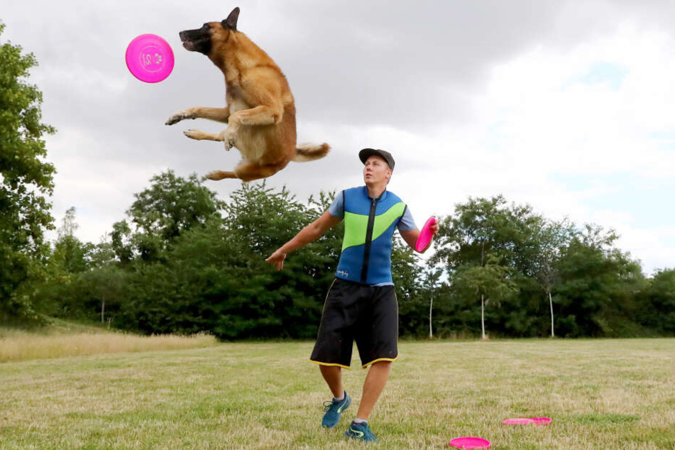 Thomas Fischer mit seinem Hund Bolle beim HundeFrisbee. Mit ihm ist er schon Europameister geworden.