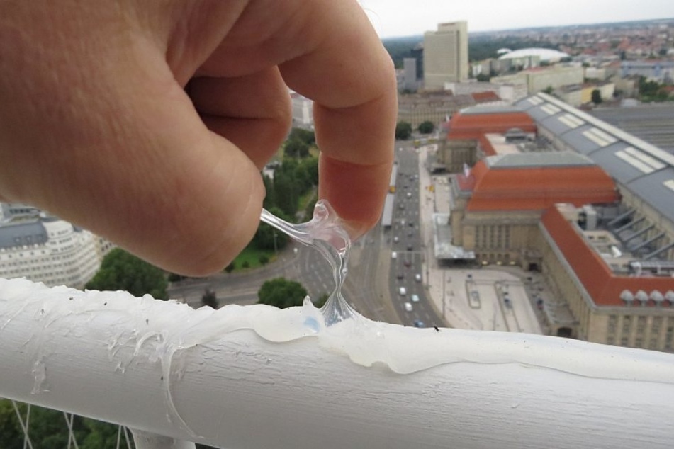 Der tödliche Kleister auf einem Geländer an einem Leipziger Hochhaus. Der
NABU setzt sich für ein Verbot der Vergrämungspaste ein.
