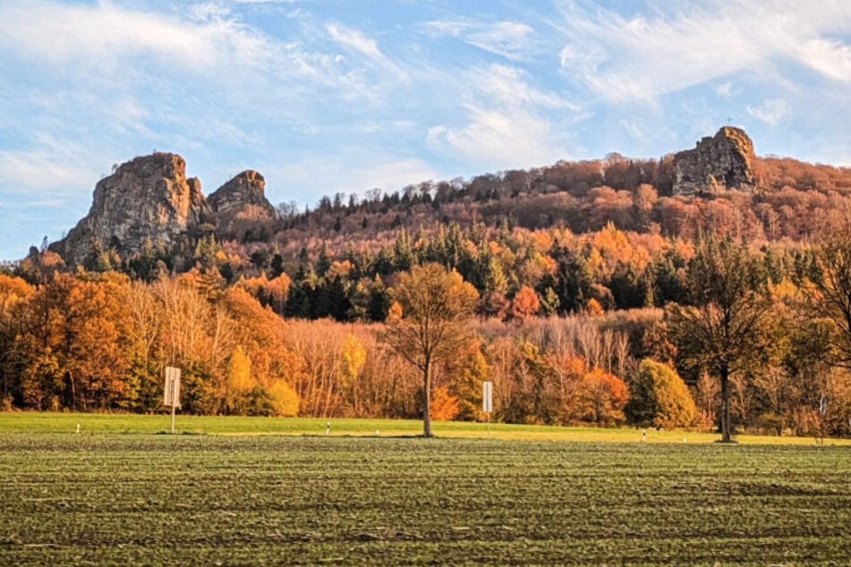Köln: Archäologen mit Sensations-Fund an Bruchhauser Steinen