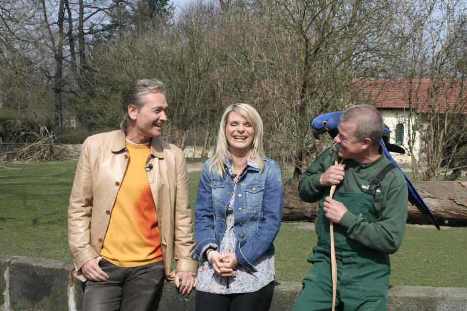 Filmstar Ara "Quak" mit Uta Bresan (53) und Olaf Berger (55) und Tierpfleger Hendrik Collmar im Zoo-Jubiläumsfilm.